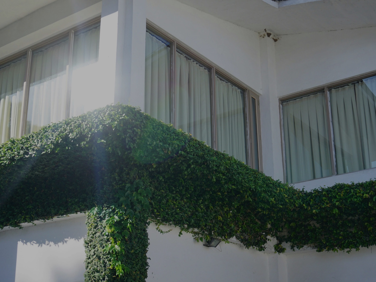 Serramenti su edificio con verde esterno